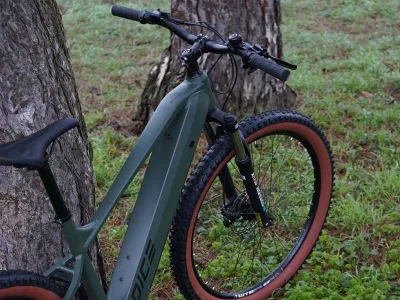 Prophete Dice 1.0 in Bronze Grün matt (Dunkelgrün) – Im Wald, Ansicht von vorn oben